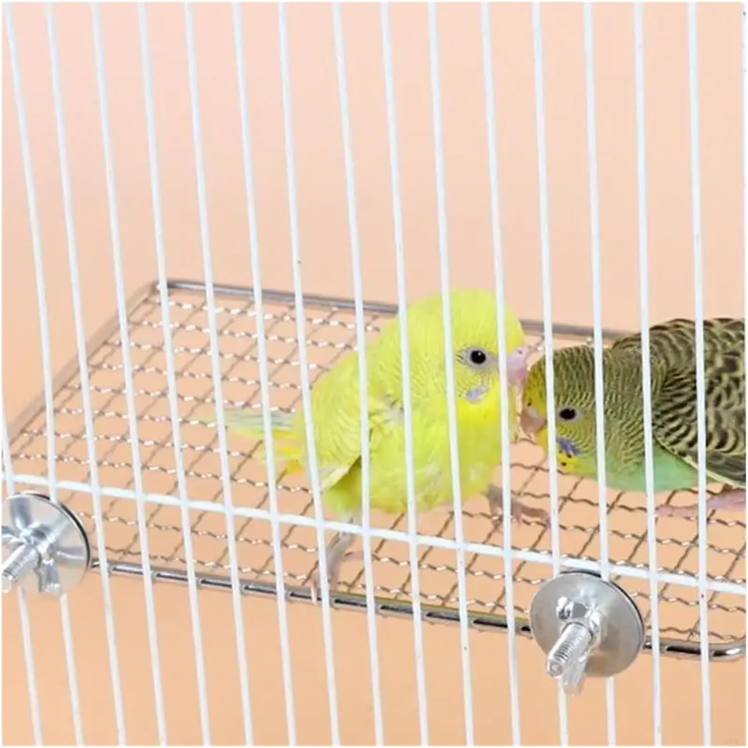 6 Pcs Easy Installation Stainless Steel Bird Perch Platform for Parrots and Other A0KF(Small)