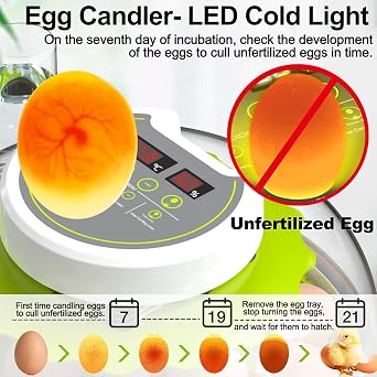 Egg Incubators for Hatching Eggs, 8/30 Chicken Egg Incubator with Automatic Egg Turning, Temperature Control & Humidity Display, Egg Candler, Home Use for Chicken, Duck, Quail - 2 Egg Trays Green