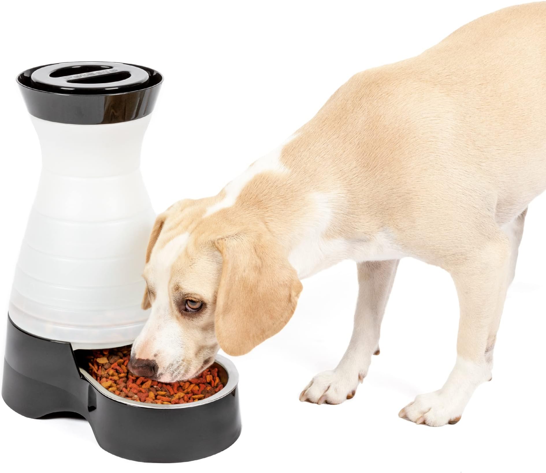 Pet Supplies Automatic Cat Feeder Gravity Dog Feeder 1 Gallon Pet