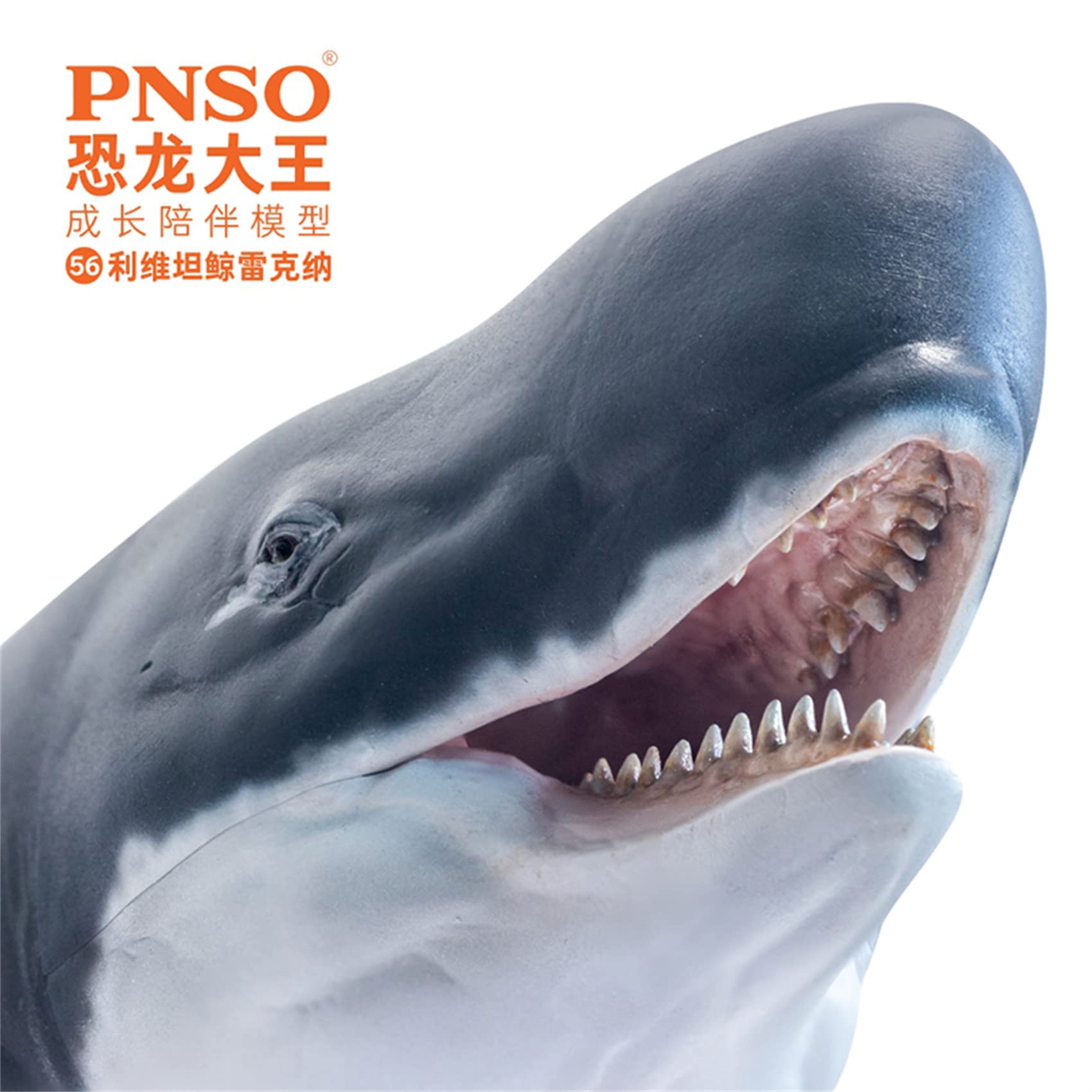 Lana Toys PNSO Livyatan Requena Figure Realistic Prehistoric Sperm