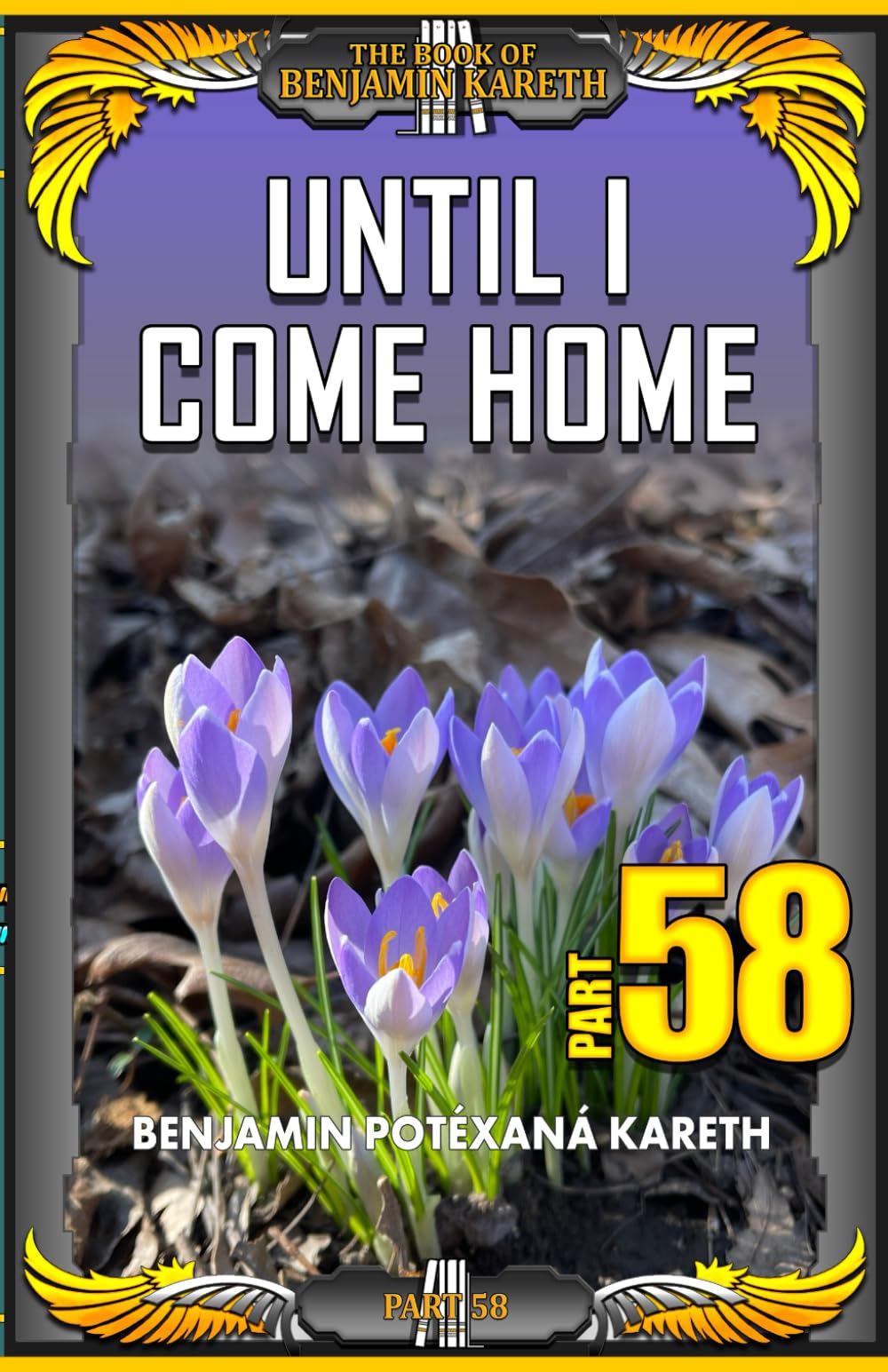 Until I Come Home (The Book Of Benjamin Kareth)