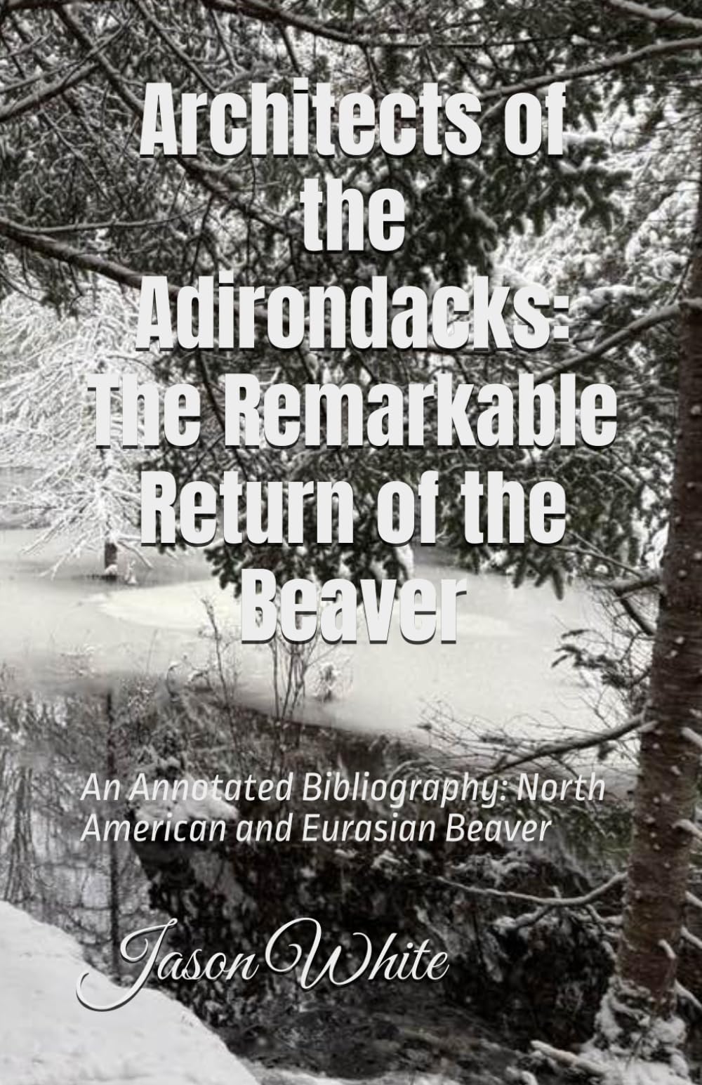 Architects of the Adirondacks - The Remarkable Return of the Beaver: An Annotated Bibliography - North American and Eurasian Beaver