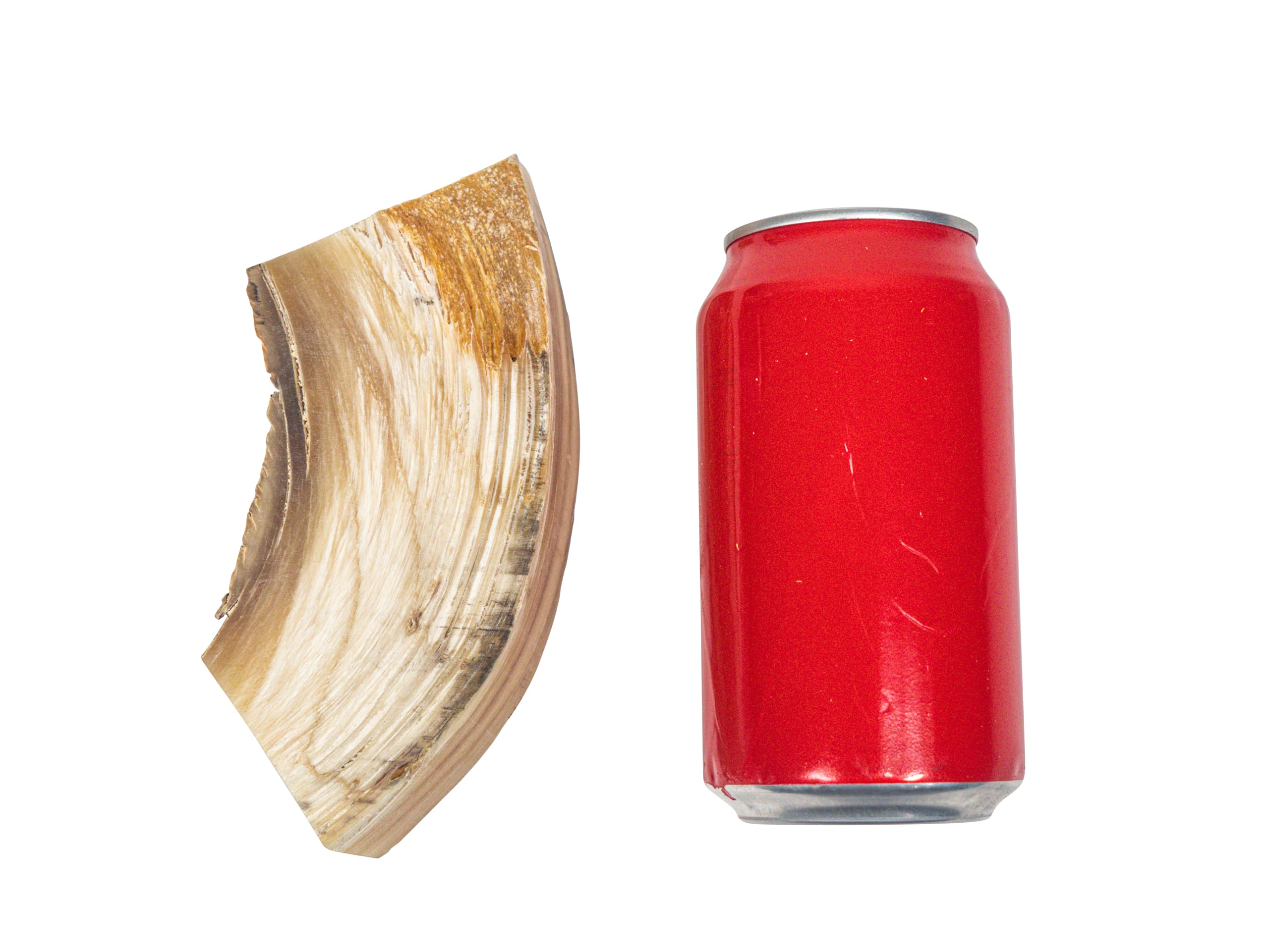 Dahl Sheep Horn Piece G6028