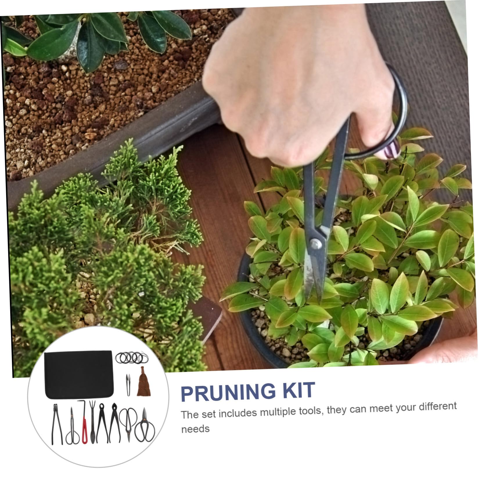Forbici da Potatura per Giardinaggio Set 1 Pezzo in Acciaio | Nero, Borsa Inclusa, per Potatura Piante, Struttura Resistente Deformazione e Rottura