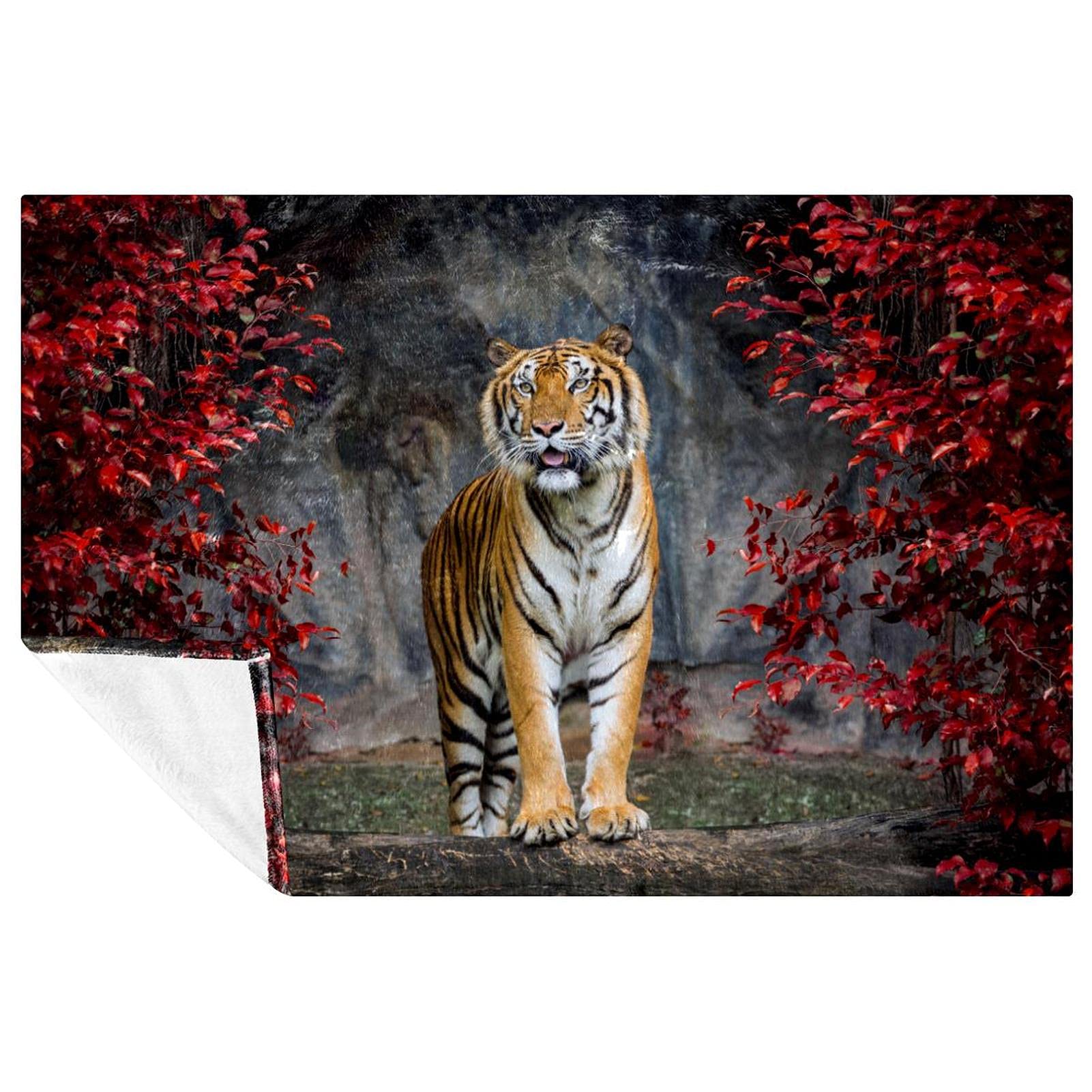 Couverture tigre douce pour soirées canapé et pique-nique en plein air