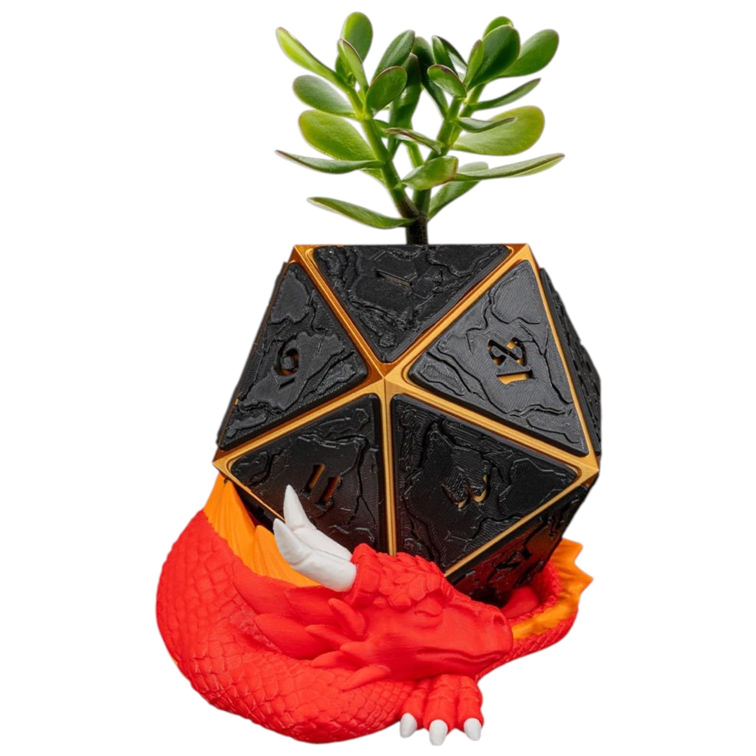 Amazon.com: HoarD20 Dragon Dice Planter | Red Dragon Base | Black