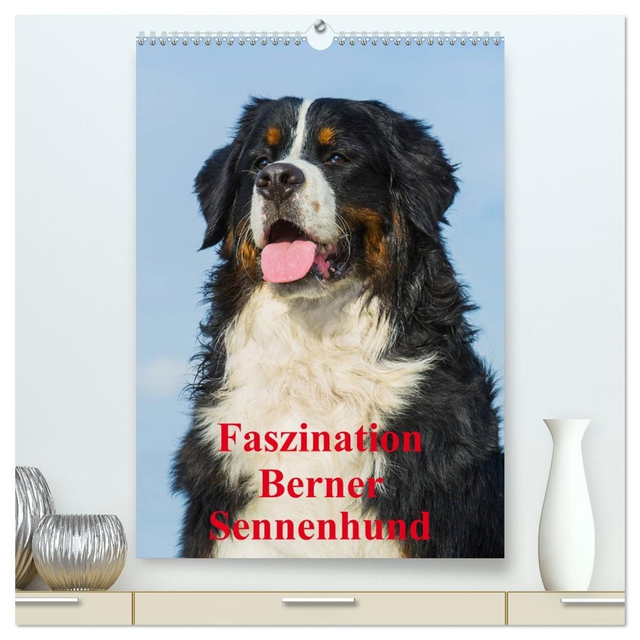 Faszination Berner Sennenhund (hochwertiger Premium Wandkalender 2026 DIN A2 hoch), Kunstdruck in Hochglanz: Auf 13 bezaubernden Fotos begleiten uns Berner Sennenhunde durch das Jahr (CALVENDO Tiere)