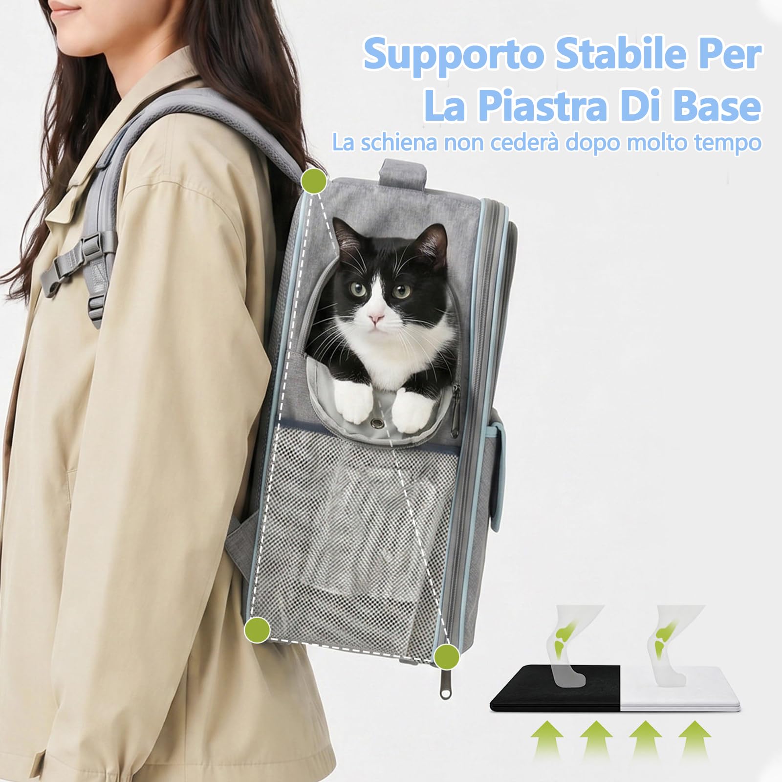Galatée Zaino Per Animali Domestici, In Tessuto Oxford Traspirante Per Cani e Gatti, Con Pannello Trasparente Per Ridurre l'Ansia, Pieghevole e Capiente, Con Aperture Frontali e Laterali (Grigio)