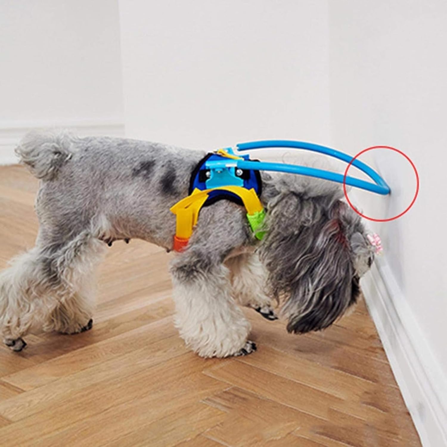 ペットカラー 犬の首輪 犬用ブラインドカラー 盲目 犬 リング ハーネス 保護ベスト ペット 盲目 フェイスガード 安全 老犬 衝突