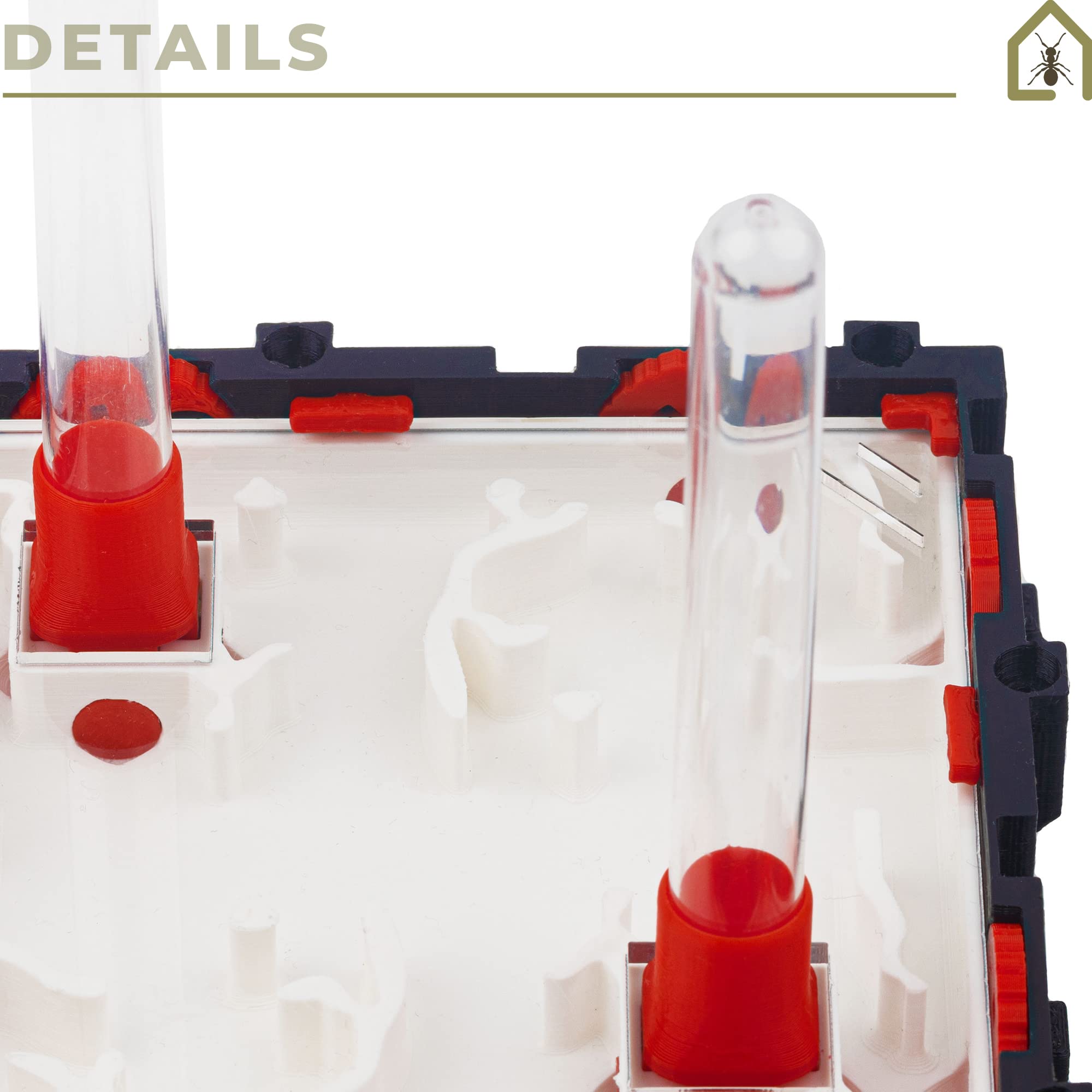 Anthouse.es - Formicai Modulari 3D - Modello QBIK QuaDra - 12,78x12,78x5 cm- Colonie di Formiche - Terrario - Grotta
