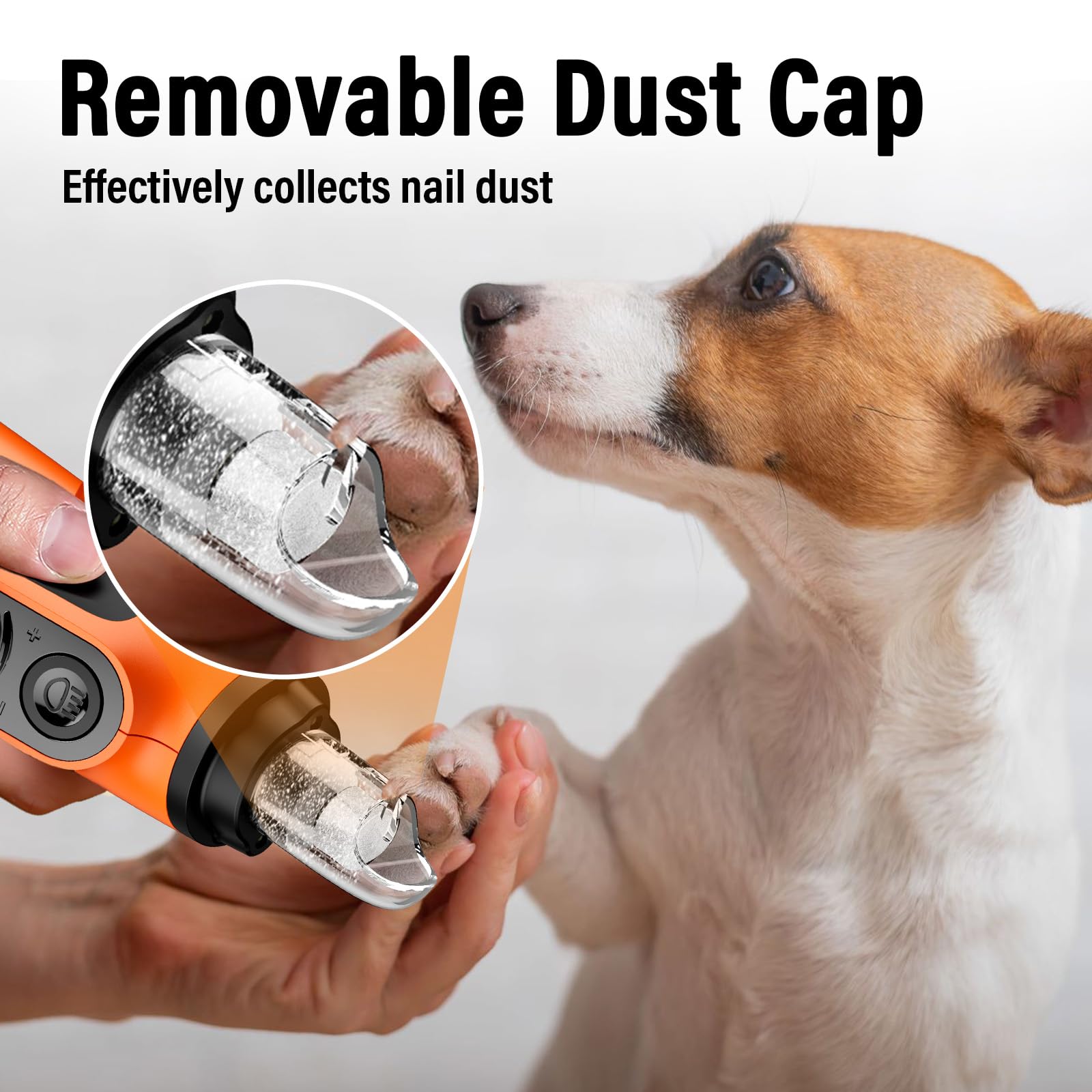 Casfuy Moulin à Ongles Intelligent à 6 Vitesses pour Chien – 50% de Puissance en Plus avec 2 lumières LED silencieuses et Rechargeables pour Chiens et Chats de Petite, Moyenne et Grande Taille