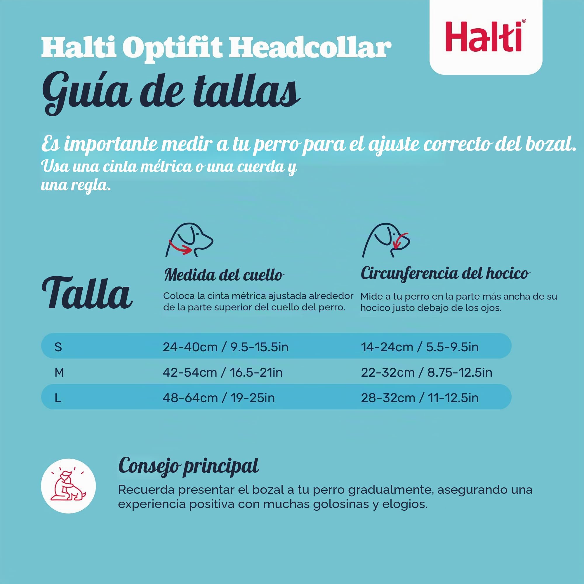 Halti Optifit - Paquete combinado de collar y correa de entrenamiento, evita que el perro tire en paseos con Halti, incluye collar de cabeza Optifit mediano y correa de doble extremo, negro, collar de