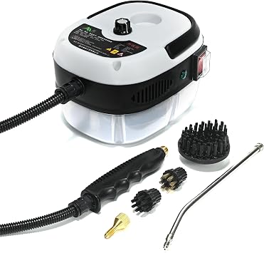 High Temperature Pressurized Steam Cleaner 2500W Handheld High Pressure Steam Cleaning Machine Portable 110V 1000ml Tank for Kitchen Toilet Car white