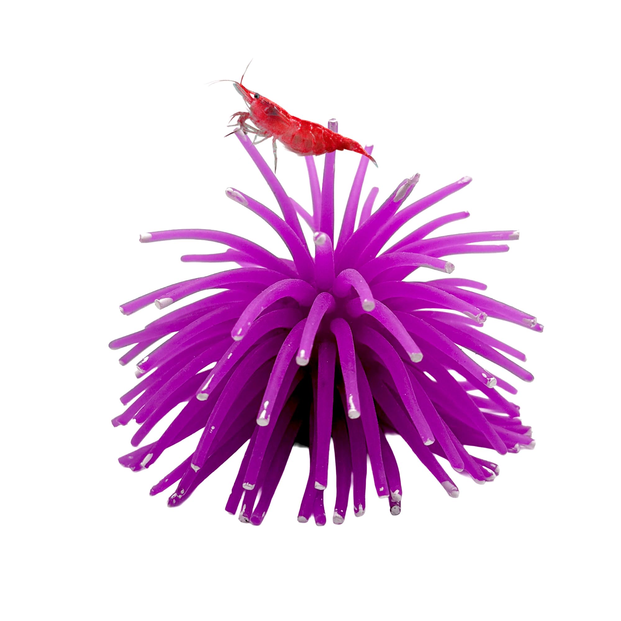 CTWPets Fluorescent Aquarium Decor – Glowing Fish Tank Ornament for Freshwater & Saltwater | Safe for Betta, Shrimp, & Tropical Fish | Includes