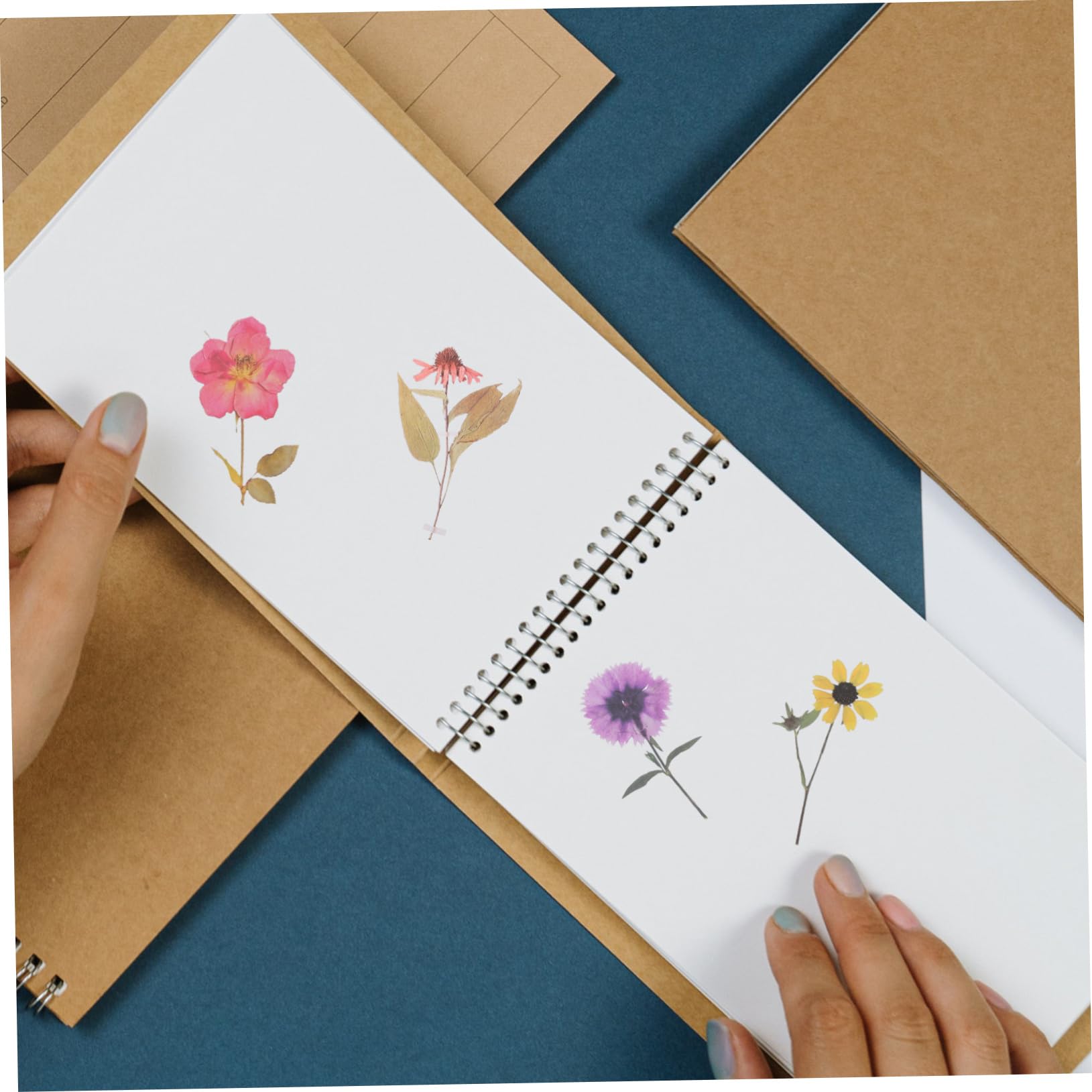 DOITOOL 3 Series Pegatinas Decorativas De Flores Pack De Stickers Elegantes Para Scrapbooking Y Manualidades Para Decoración De Diarios Y Álbumes De Usar Y Almacenar 6 Paquetes*3