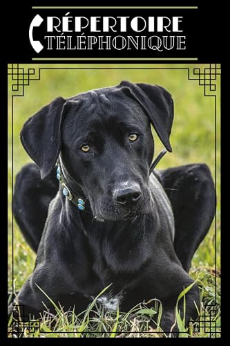 Répertoire téléphonique: alphabétique chien Labrador noir. Carnet d’adresses et téléphones à compléter au format A5 pour plus de 400 contacts