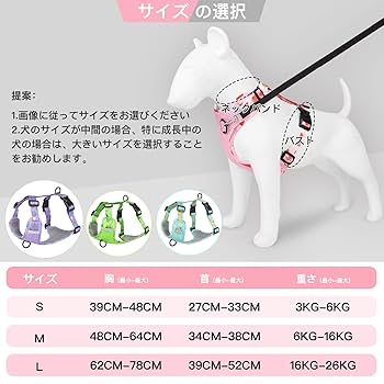 獣犬の下顎手のひらサイズ 5000000087178_07.jpg