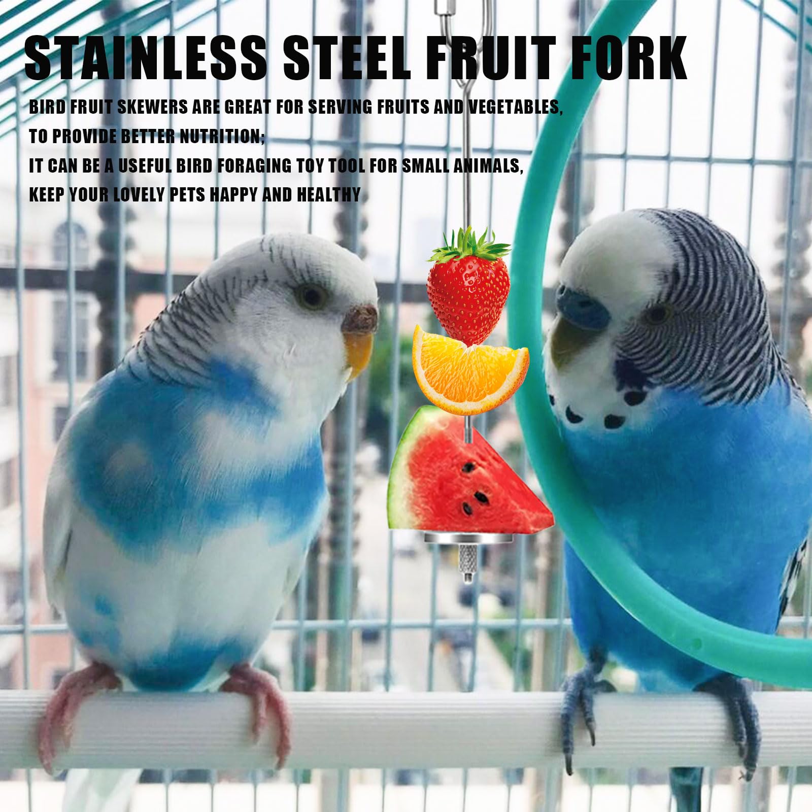 Vogel Fruit Houder | Roestvrijstalen Spekjes Spies,Foerageerspeelgoed en Binnenhuisdecoratie voor Grasparkieten, Agapornissen, Valkparkieten en Kanaries