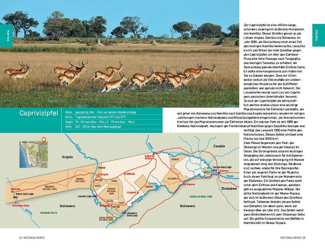 Safari-Reiseführer Südliches Afrika: Wenn Sie wissen möchten welches Tier Sie vor der Linse haben!: Säugetiere, Reptilien, Vögel und Nationalparks-Südafrika, Botswana ind Namibia