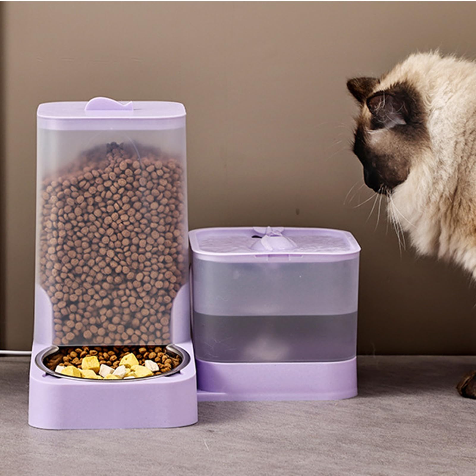 Mangeoire Automatique Chat Bol en Acier Inoxydable Grande Capacité pour