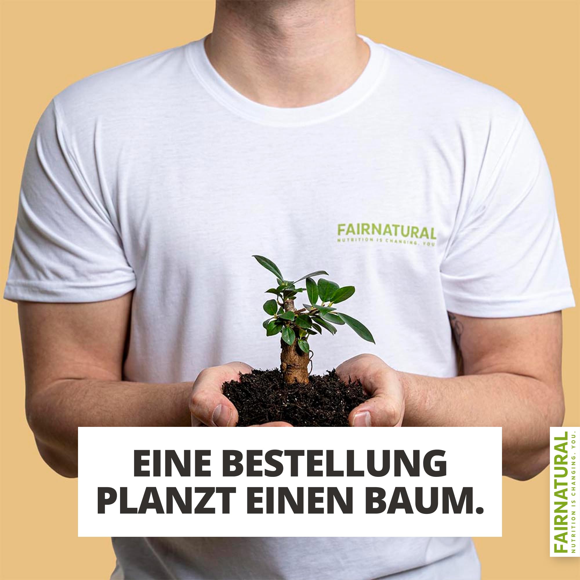 FAIRNATURAL® Pilz Kakaopulver Vegan [SCHOKO] - Mushroom Powder Komplex Hochdosiert - Pilzkaffe - Mushroom Coffee - Vitalpilze Kakao aus Reishi Extrakt, Hericium & Chaga Pilz - 3x20 Portionen (600g)