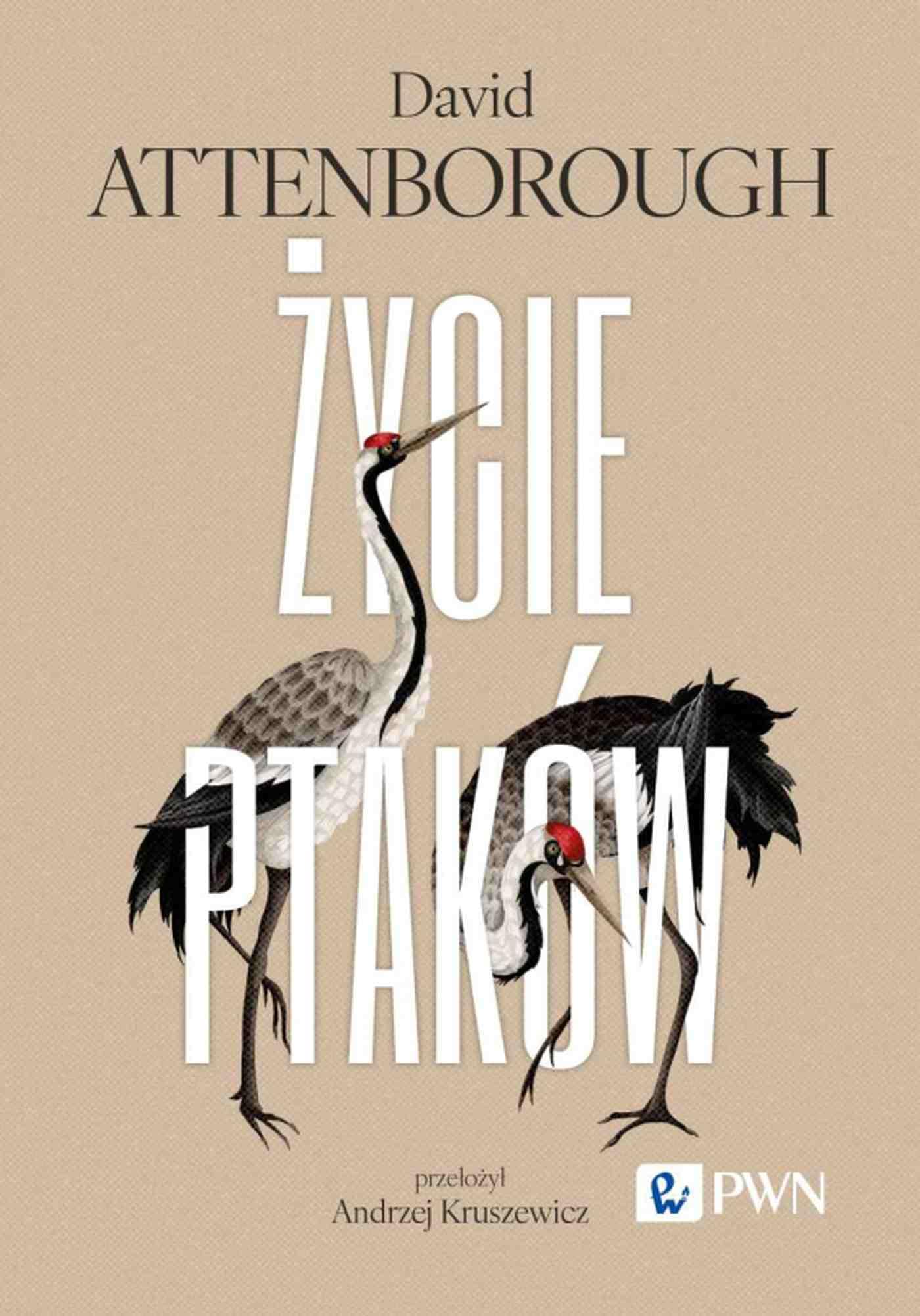 Życie ptaków