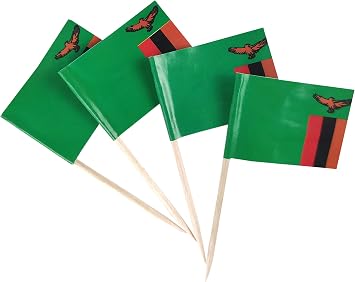 JBCD Zambia Toothpick Flag Zambian Mini Small Cupcake Topper Flags, 100pcs