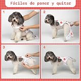 Ver la foto 5