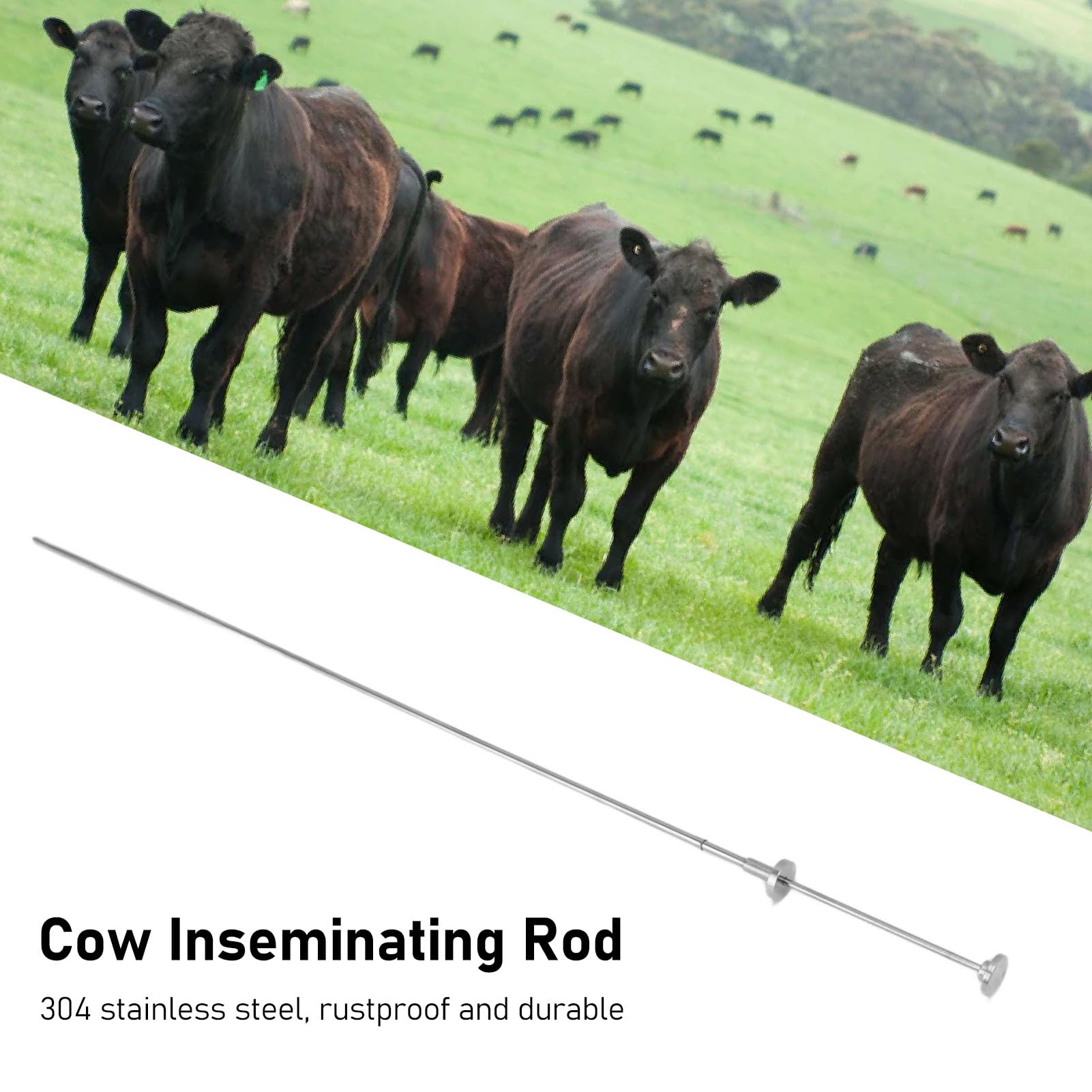 Topyond Besamungspistole Rinder, 304 Edelstahl, Werkzeug Zur Künstlichen Befruchtung Von Rindern Für Die Zucht, Ausziehbares Design, 467mm, Edelstahl Besamungspistole Kuh