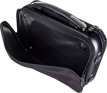 Amazon | プロテック PROTEC クラリネット用ABS樹脂製セミハードケース