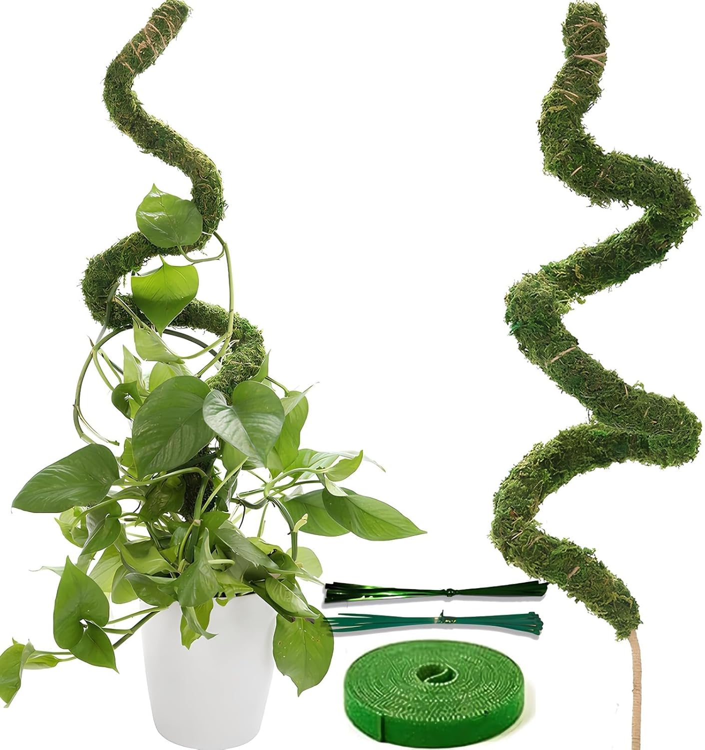 Soupiar Moss Pole Monstera Plant Support - Tall 63 Inch Pure Natural Handmade Bendable Moss Poles for Climbing Plants Indoor, Large Plant Stakes Support Moisture Stick