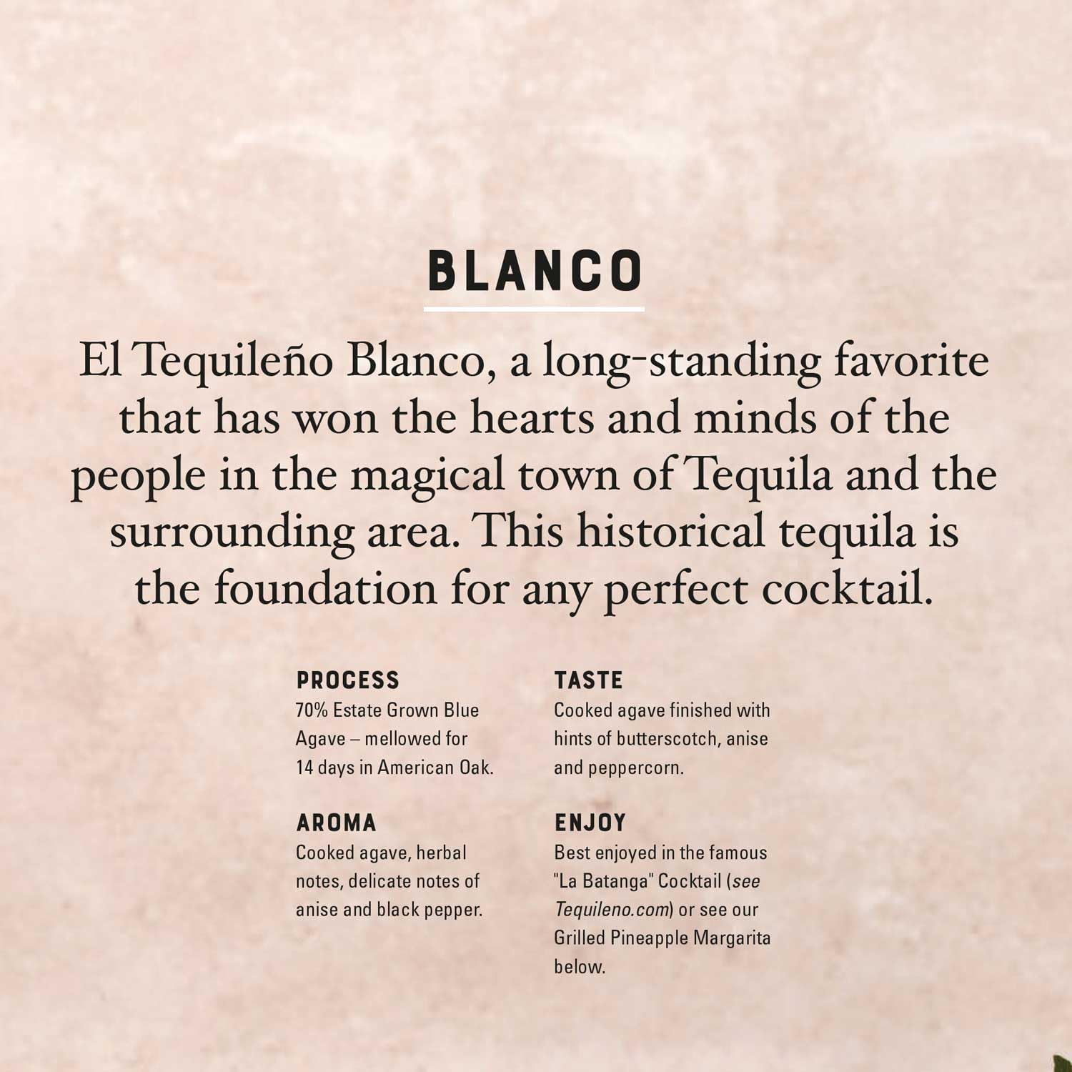 El Tequileño Blanco Tequila 38% Vol. 0,5l