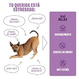 Ver la foto 5