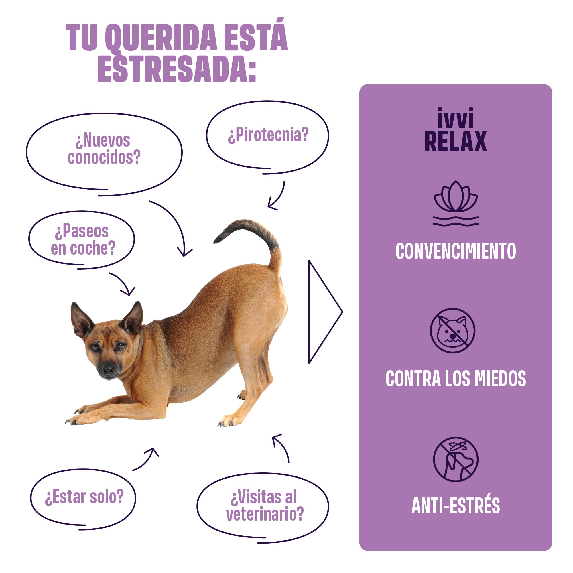 ivvi Relax - Calmante para Perros con L-triptófano para la ansiedad, el estrés y para calmar - 60 sabrosos Snacks con Pollo