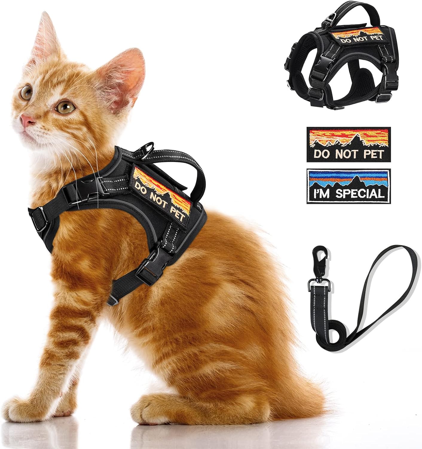 Harnais tactique pour chat adulte, réfléchissant, réglable et antifugue, avec poignée