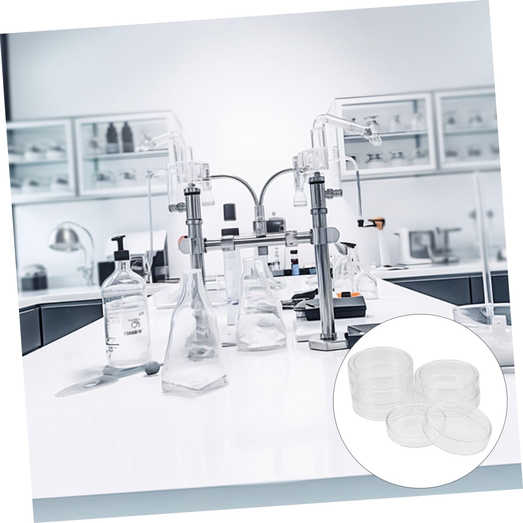 ABOOFAN 6pezzi Piastre Petri Da Laboratorio Piastre Con Petri Per Tessuti Cellulari Trasparenti Pz Agar Per Funghi in Agar