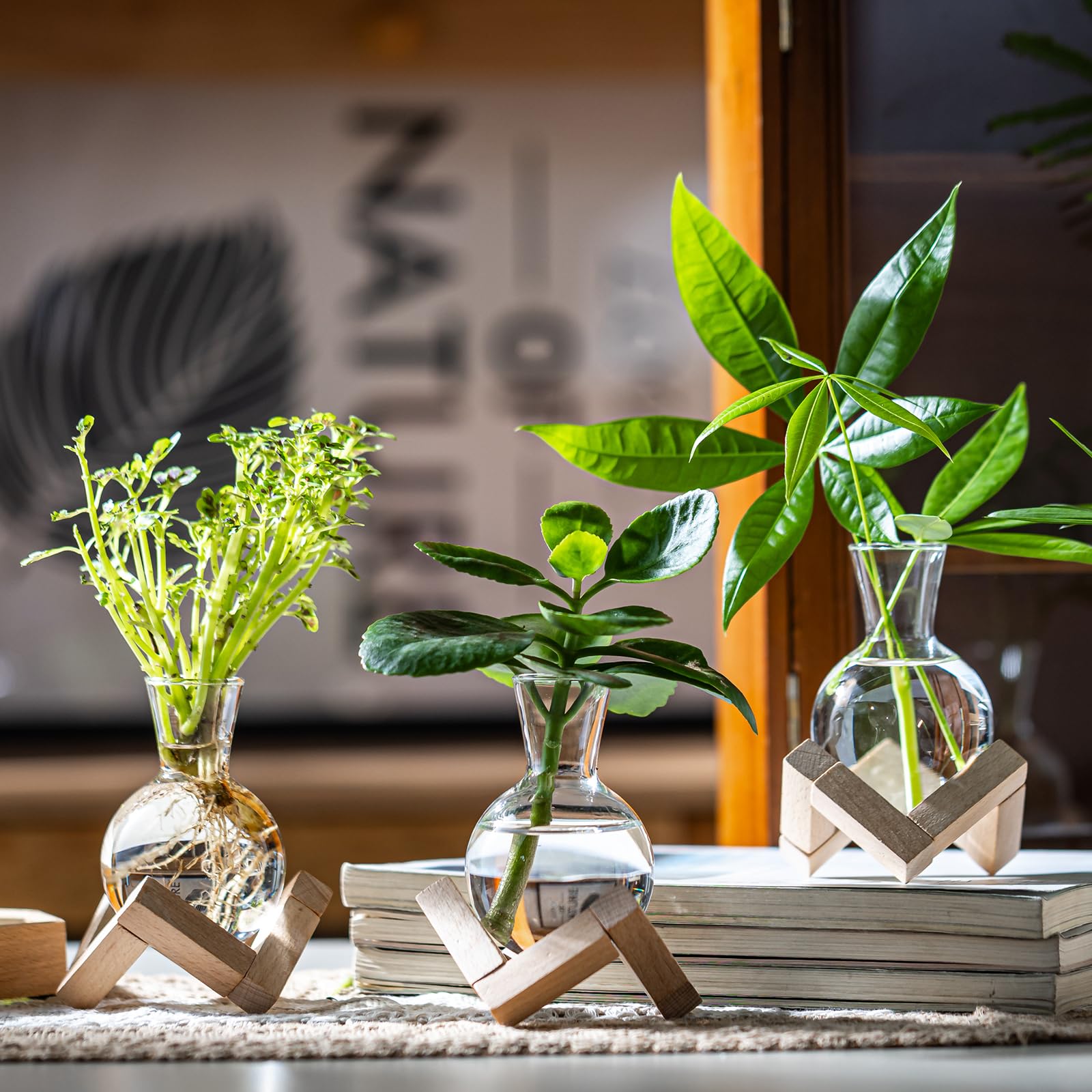 Pflanzenanzuchtstation, Pflanzenterrarium mit Holzständer, Luftpflanzenhalter, Blumenzwiebelvasen, Tischglas-Pflanzgefäß für Hydrokulturen, Heimbüro-Dekoration, Geschenk für Frauen