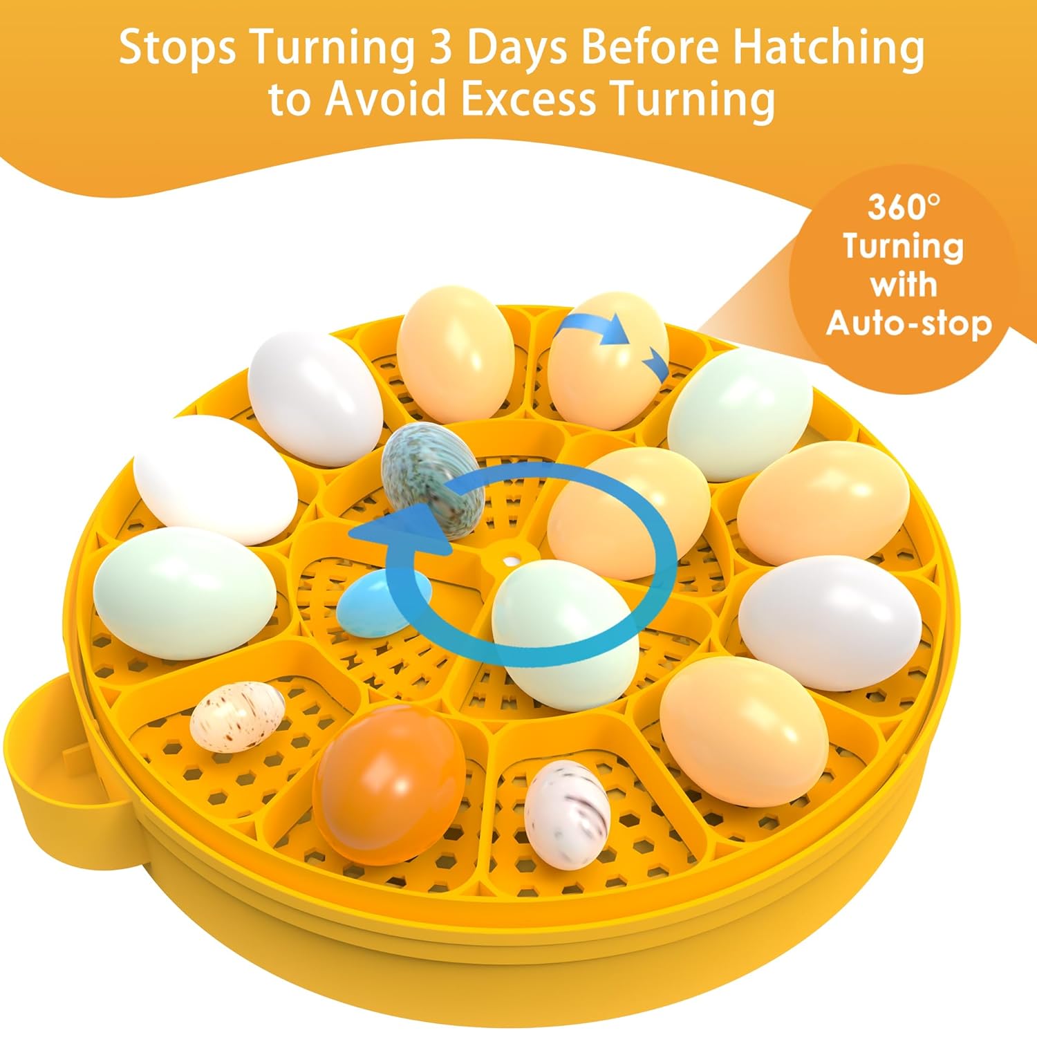 16 Eggs Incubator, Incubators for Hatching Eggs, Eggs Incubator with App, Chicken Incubator with Automatic Turner, Incubator for Chicken Eggs, Quail Eggs, Duck Eggs or Poultry Eggs Incubator Custom