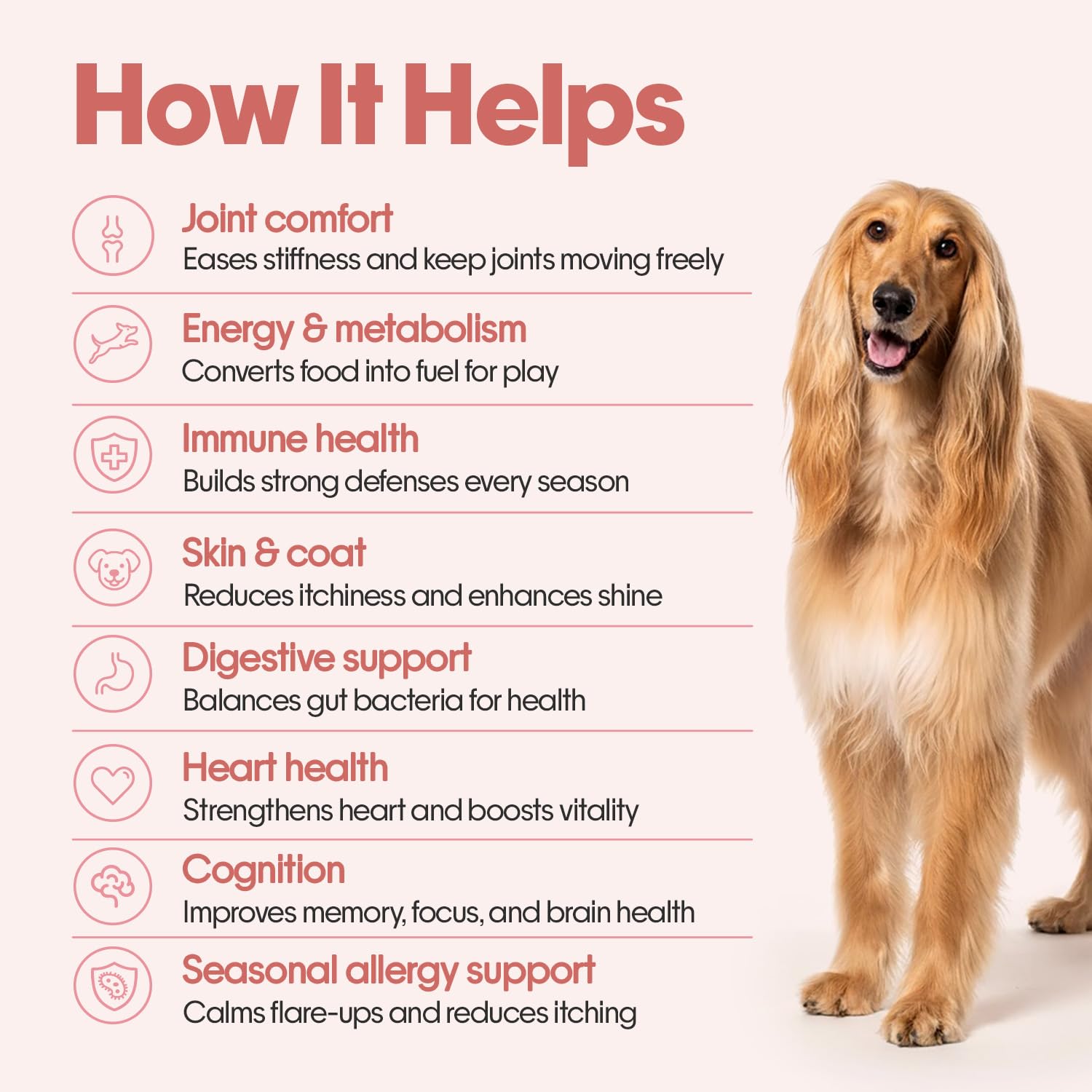 Hope All in One 14-in-1 Supplement Chews for Dog 30 Chicken hoplets |Multivitamins, Joint Support, Probiotics, Biotin, Omega 3 & 6| Pet Chews for Absolute Wellness | ColdPressed, Hypoallergenic — Amazon image 3