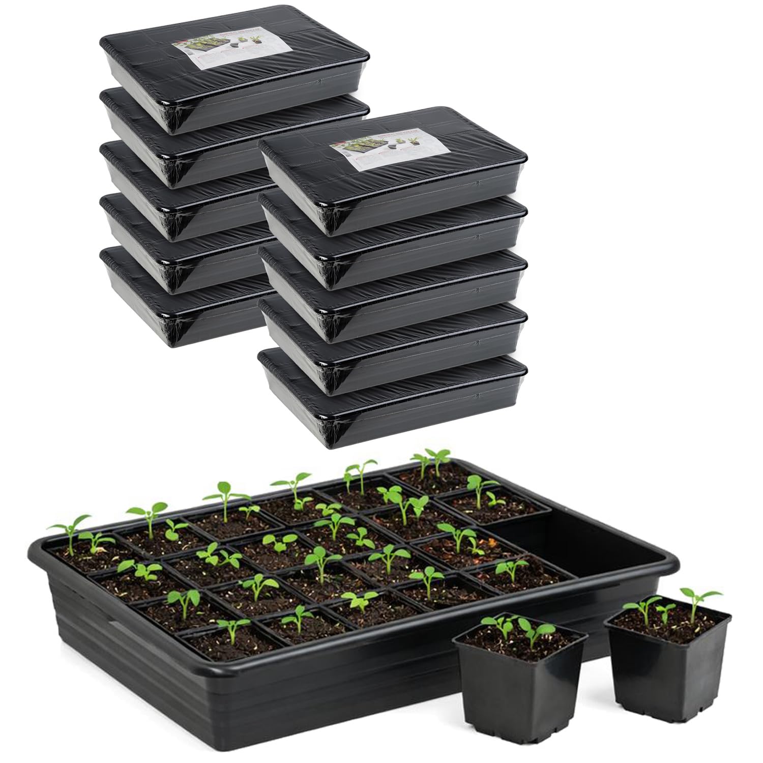 Zestaw do uprawy, 20 x (6 x 6) doniczki z podstawkami, miska do uprawy 33 x 25,8 x 6 cm – miska na nasiona na sadzonki i młode rośliny (10 sztuk)