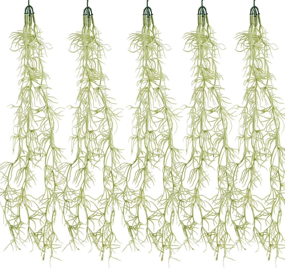 Vegetación y Planta Artificial