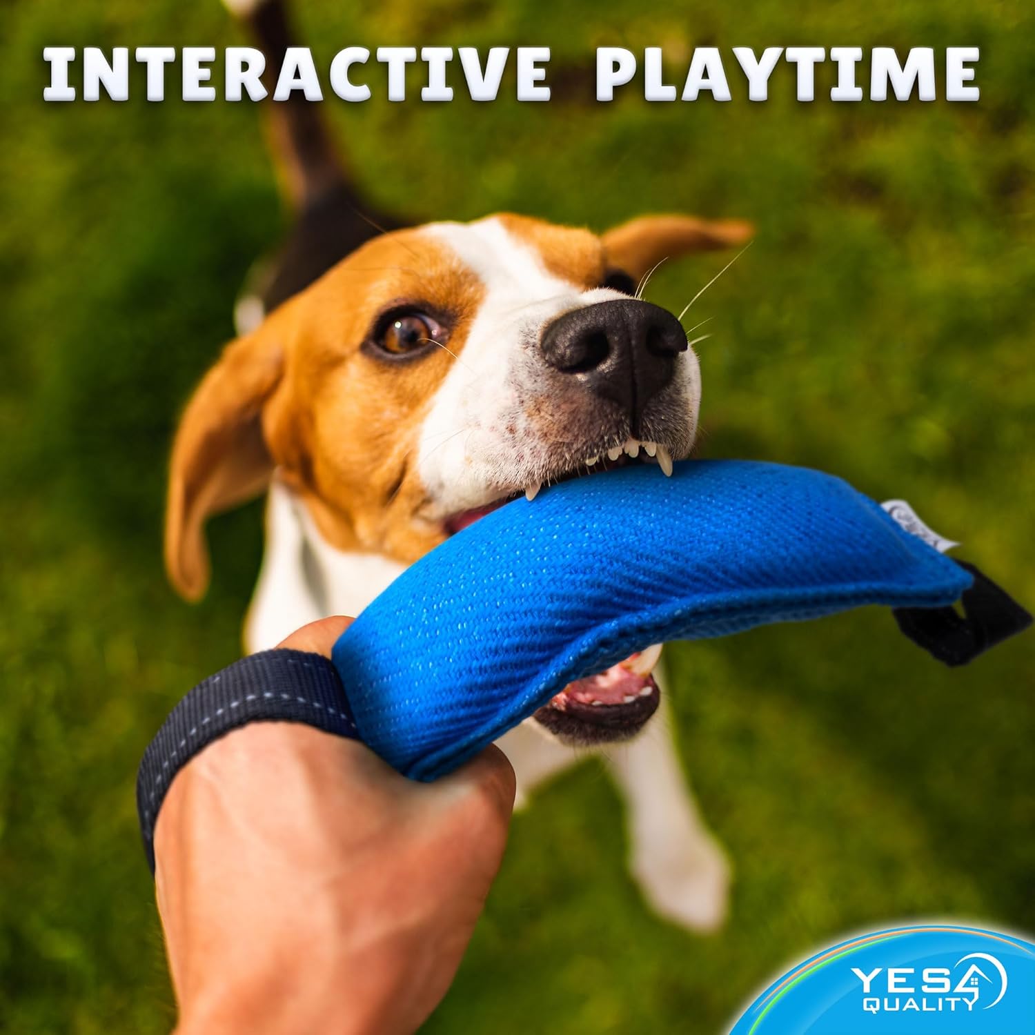 YES4QUALITY Dog Bite Tug Toy - 30x9cm, Blue -... 21 YES4QUALITY Dog Bite Tug Toy - 30x9cm, Blue -...