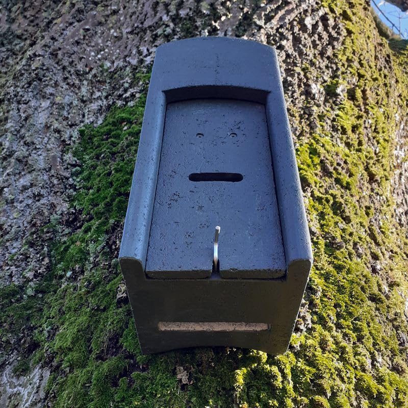 Fledermaus-Kuppelhöhle aus Holzbeton | Wetterfest | Fledermausquartier | Fledermauswochenstube | Großraumhöhle | Sommerquartier | Fledermauskasten | Fledermaus-Haus | Selbstreinigend