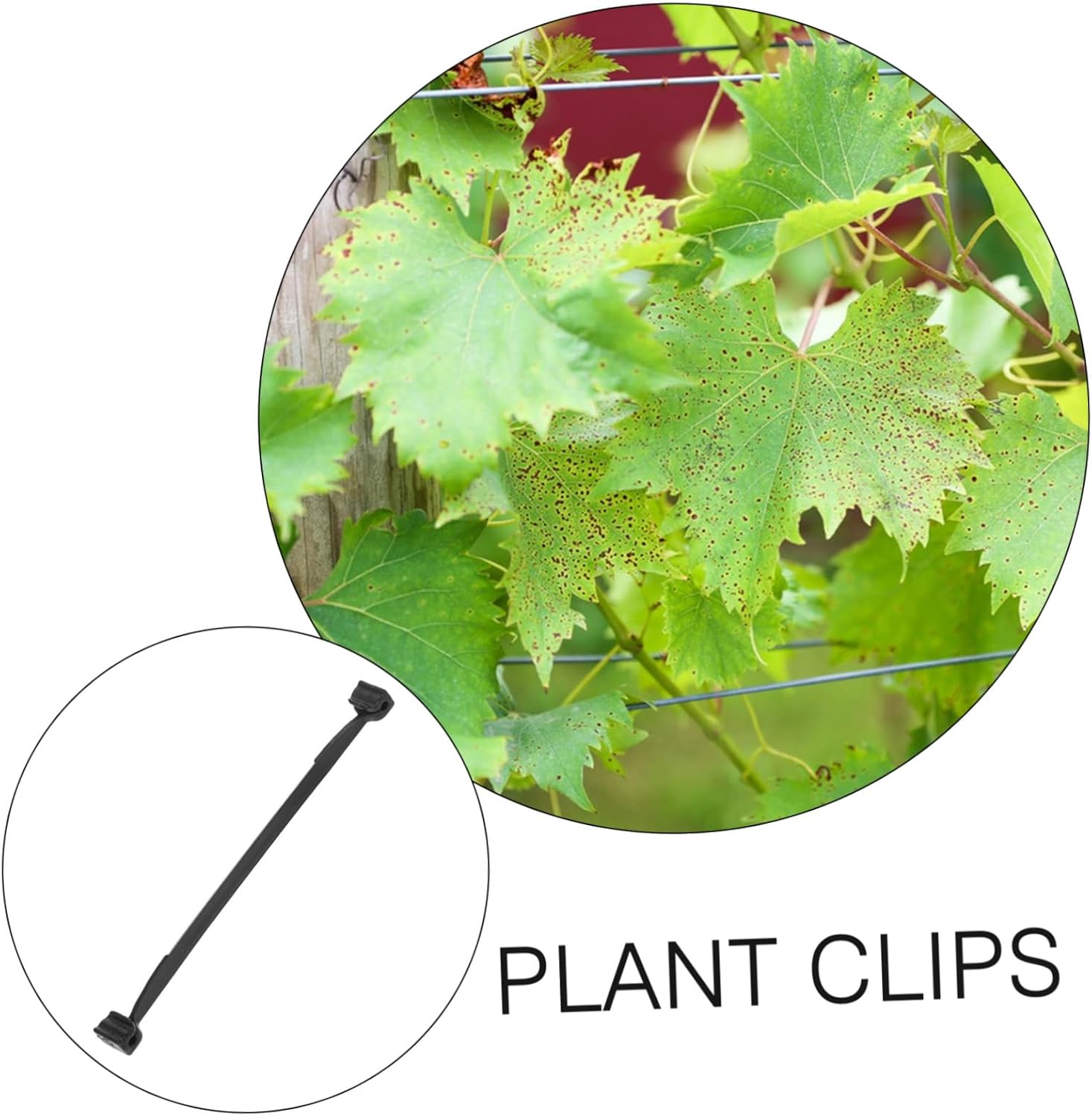 1bag Garden Vines Plant Fixing Clamp Clips Plant Support Tie Branch Card Sturdy Material Clips for Climbing Supporting