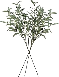 SNAIL GARDEN 4 Pack 41.3in Olive Branches