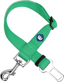 Blueberry Pet Classic Emerald Seatbelts