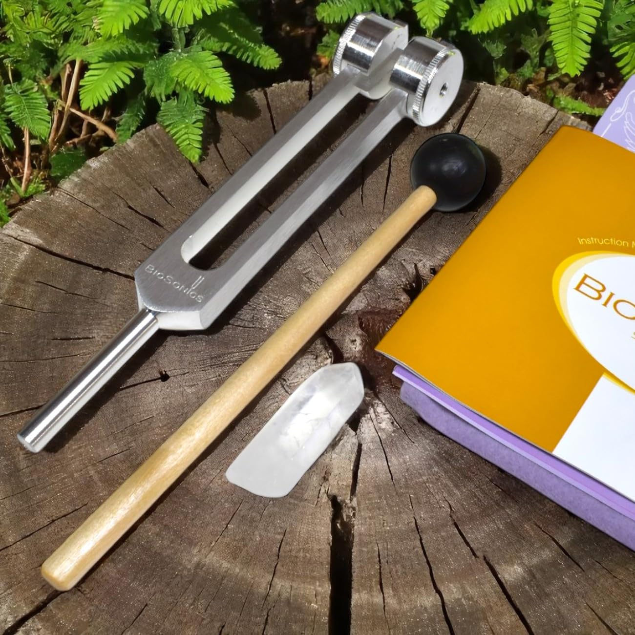 Amazon | [セドナの魔法]biosonics社製 OMチューナー オームチューナー