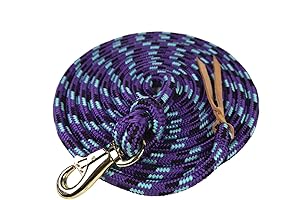 Kensington Lead Rope: Durable Nylon for Exceptional Control During Training and Exercise
