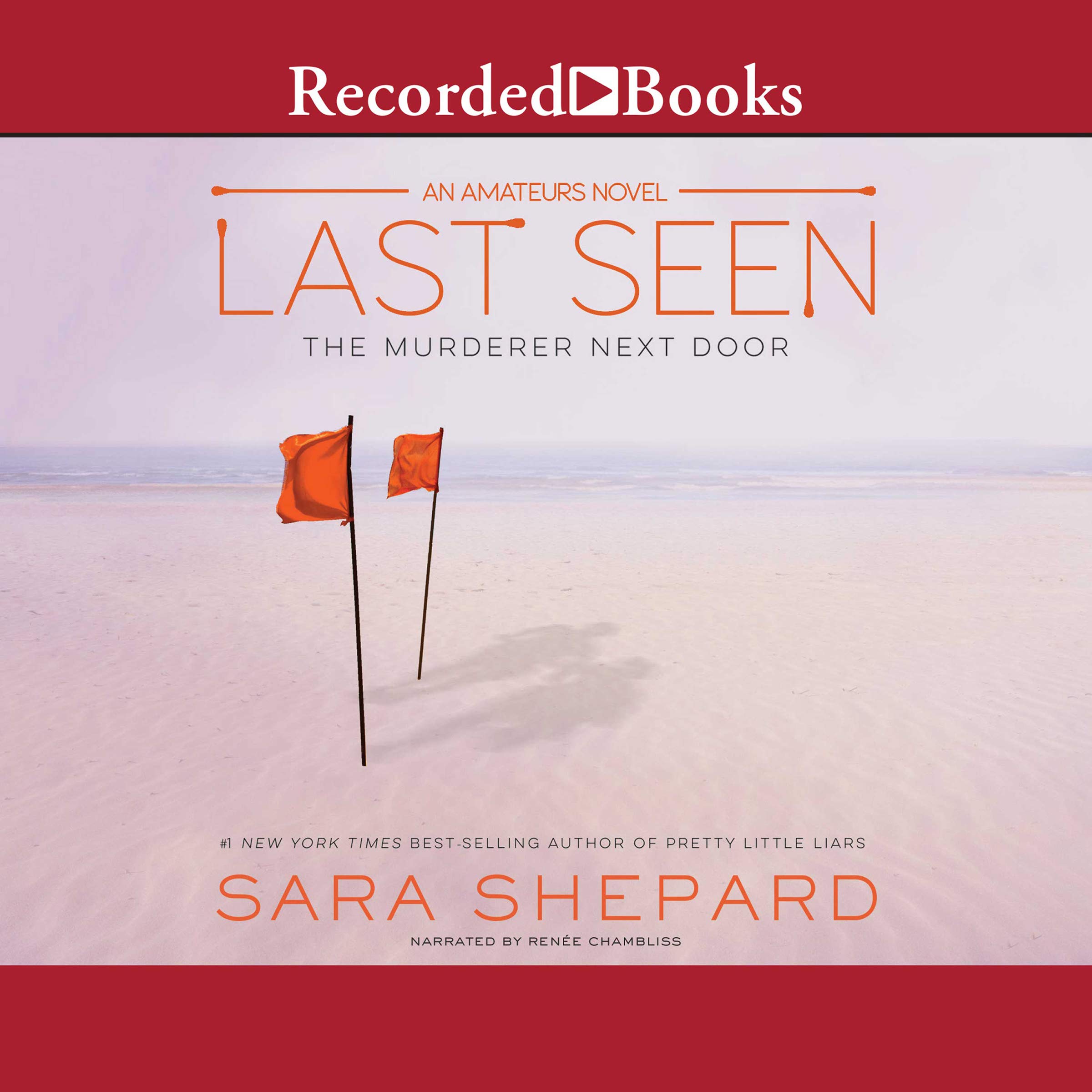 Cover art for The Amateurs: Last Seen