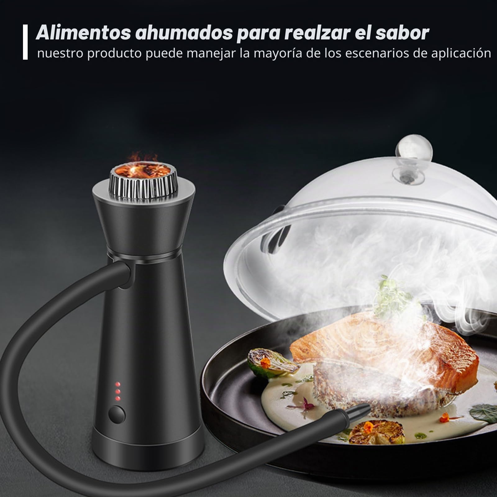 Pistola de humo, generador portátil de humo frío, para ahumado manual de alimentos, con 4 paquetes de virutas de madera